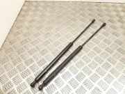 Heckklappe Gasdruckfeder links PEUGEOT 206 Hatchback (2A/C) 1.4 HDi eco 70 9631441380