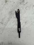 Einspritzdüse BMW 6 Cabrio (F12) 650 i xDrive 13647599876