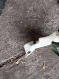 Fensterwaschtank VOLVO V50 (MW) 2.4 30657122