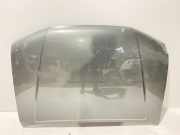 Motorhaube Nissan Pathfinder III (R51)