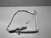 SRS Modul Dach links BMW X5 (E70) xDrive 30 d 11B089TA000Y