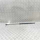 Gasfeder für Motorhaube Audi Q7 (4M) 4M0823359B