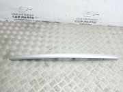 Kennzeichenbeleuchtung Verkleidung