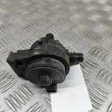 Zirkulationswassermotor