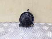 Ziergitter Ford Fusion (JU) 2N1HN014L21ACW