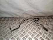 Andere Röhren NISSAN PRIMERA (P12) 1.9 dCi