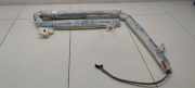 SRS Modul Dach links CITROËN C3 II 1.2 VTi 82 981185798