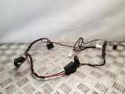 Kabelbaum RENAULT TRAFIC III Furgon (FG_) 1.6 dCi 115 T1032617W