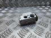 A/C Conditioner Expansion Valve VW MULTIVAN V (7HM, 7HN, 7HF, 7EF, 7EM, 7EN) 2.5 TDI 52407547 7h0820712