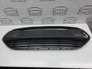 Gitter vorne unten FORD TRANSIT CONNECT 1.6 TDCi D2A3B