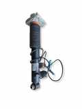 Stoßdämpfer hinten links BMW X5 (F15, F85) xDrive 40 d 6875090