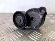 Riemenspanner VOLVO XC60 2.4 D 1FL34TF155B