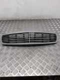 Vorderer oberer Gitter MERCEDES-BENZ E (W211) E 320 CDI (211.022) A2118800583