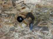 Lautsprecher rechts vorne Jaguar F-Type Coupe (QQ6) BJ3218808AC