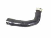 Schlauch für Luftversorgung Jeep Grand Cherokee III (WH, WK) 55037962AC