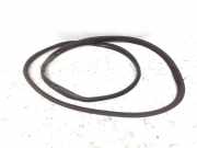 Türgummi links vorne Ford Transit Custom V362 Kasten (FY, FZ) BK21V20708AD