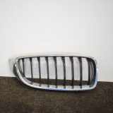 Gitter Grill vorne rechts