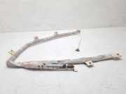 Dach SRS rechts VW PASSAT CC (357) 2.0 TSI 3C8880742C