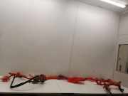 Kabelbaum Lexus NX 1 () 8216578020K