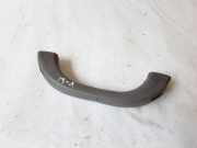 Griff Panoramadach Hyundai H-1 Starex (H-1)