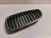 Vorderer oberer Gitter BMW 5 (F10) 520 d 7203649