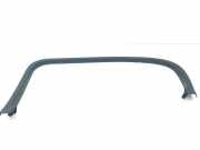 Türpolsterverkleidung hinten rechts