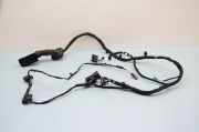Kabel der vorderen linken Tür BMW X1 (U11) BMW X1 (U11) sDrive 18 i 5B32194