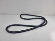 Türgummi rechts vorne BMW X7 (G07) 7428678