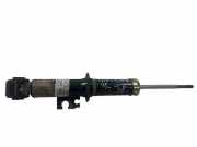 Stoßdämpfer hinten rechts MINI COOPER (R56) Cooper S 6763138 22191362