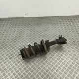 Stoßdämpfersatz Vorderachse Renault Master III Kasten (FV) 543028774R