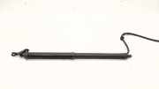 Heckklappe Gasdruckfeder links TOYOTA RAV 4 V (XA50) AWD Hybrid LE+ 2.5 6892042020