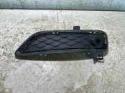 Gitter vorne unten BMW X3 (F25) xDrive 20 d RH105034