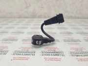 Klopfsensor Audi A3 Sportback (8P)