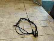 Antenne Dach Toyota Avensis (T22)