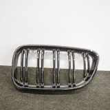 Kühlergrill links BMW 2er Coupe (F22, F87)