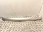 Kennzeichenbeleuchtung OPEL SIGNUM 2.2 direct 22431700
