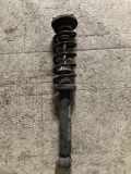 Stoßdämpfer hinten links BMW 5 (F10) 530 d