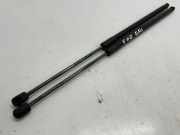 Heckklappe Gasdruckfeder links BMW F40 F40) 116 d 7456042