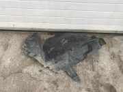 Innenkotflügel vorne links Rückseite MERCEDES-BENZ C Coupe (C204) C 220 CDI (204.302) A2046904730