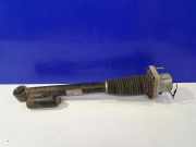 Stoßdämpfer rechts hinten Land Rover Range Rover IV (L405) CPLA18080