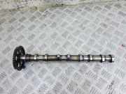 Nockenwelle VOLVO V70 III (BW) D4 31401335