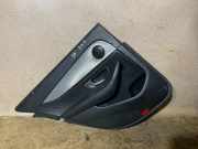 Türpolster hinten links MERCEDES-BENZ E (W213) E 220 d 4-matic (213.005) A0028201901