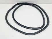 Türdichtungsgummi vorne links TOYOTA PROACE Minibus / passenger (MPY_) 1.6 D (MPY2_)