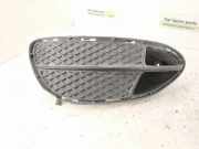Gitter vorne unten MERCEDES-BENZ E (W212) E 250 CDI / BlueTEC 4-matic (212.082, 212.097) 2128851922 A2128851922