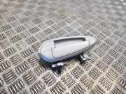 Türgriff links hinten Fiat Punto (199)