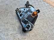 Lampenfassung RENAULT CLIO III (BR0/1, CR0/1) 1.4 16V