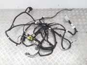 Türverkabelung hinten rechts RENAULT KOLEOS II 2.0 dCi 175 4WD 241632042R