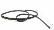 Türdichtungsgummi vorne links MITSUBISHI MIRAGE / SPACE STAR Hatchback (A0_A) 1.2 (A03A)