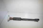 Stoßdämpfer hinten links BMW 2 Active Tourer (F45) 225 i 33526874465