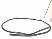 Dichtung für Koffer-/Laderaumklappe Nissan Pathfinder III (R51)